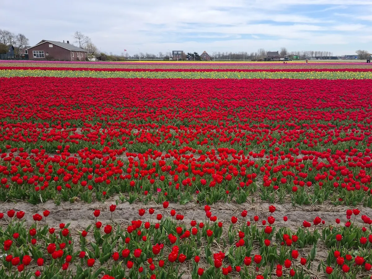 Streekmuseum Veldzicht
