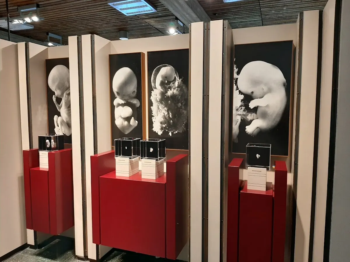 Museum voor Anatomie en Pathologie