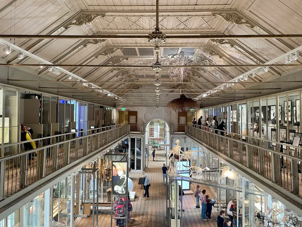 ARTIS - Groote Museum