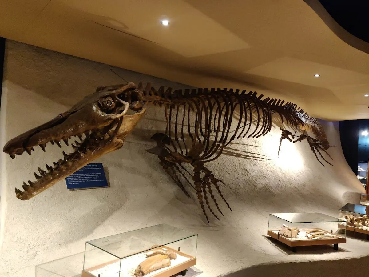 Natuurhistorisch Museum Maastricht