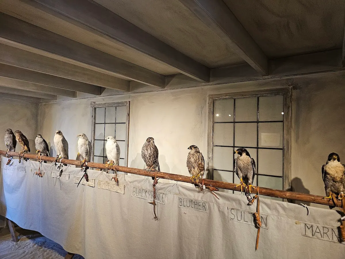 Valkerij en Sigarenmakerij Museum
