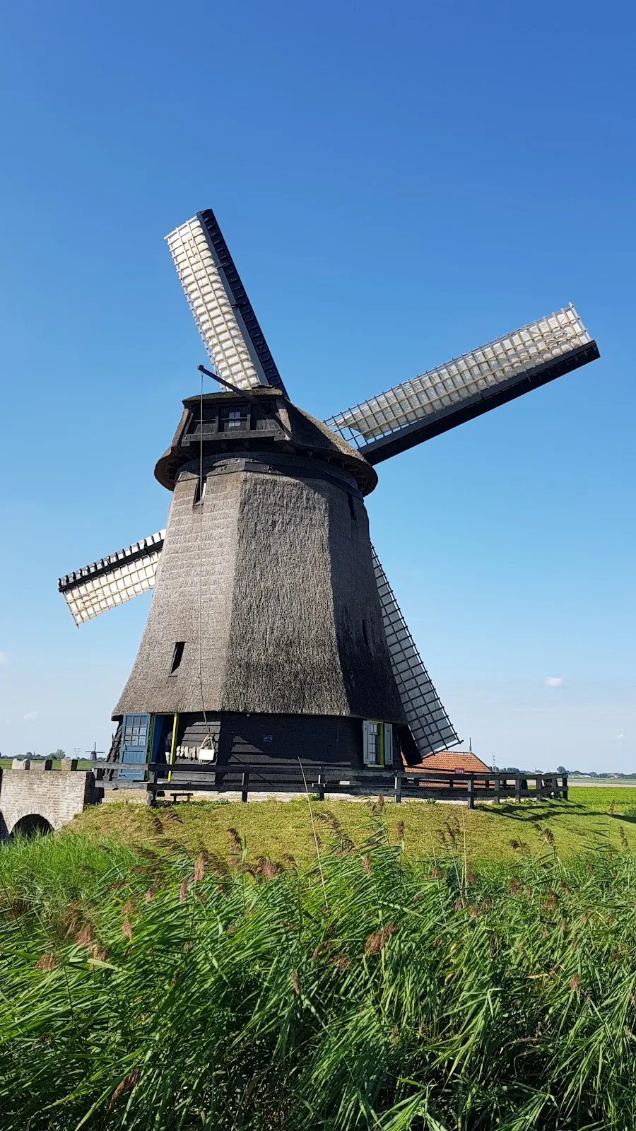 De Museummolen