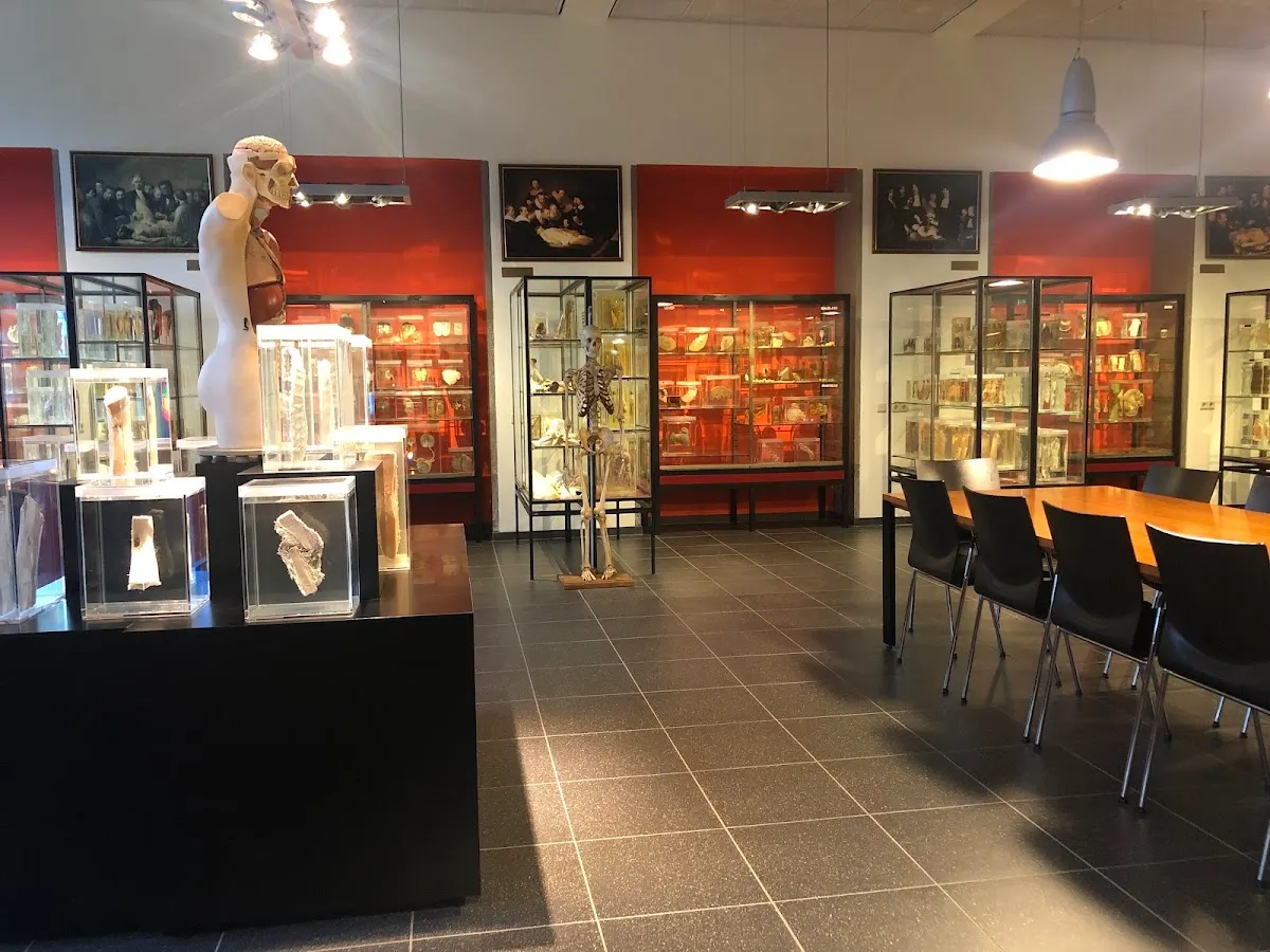Museum voor Anatomie en Pathologie