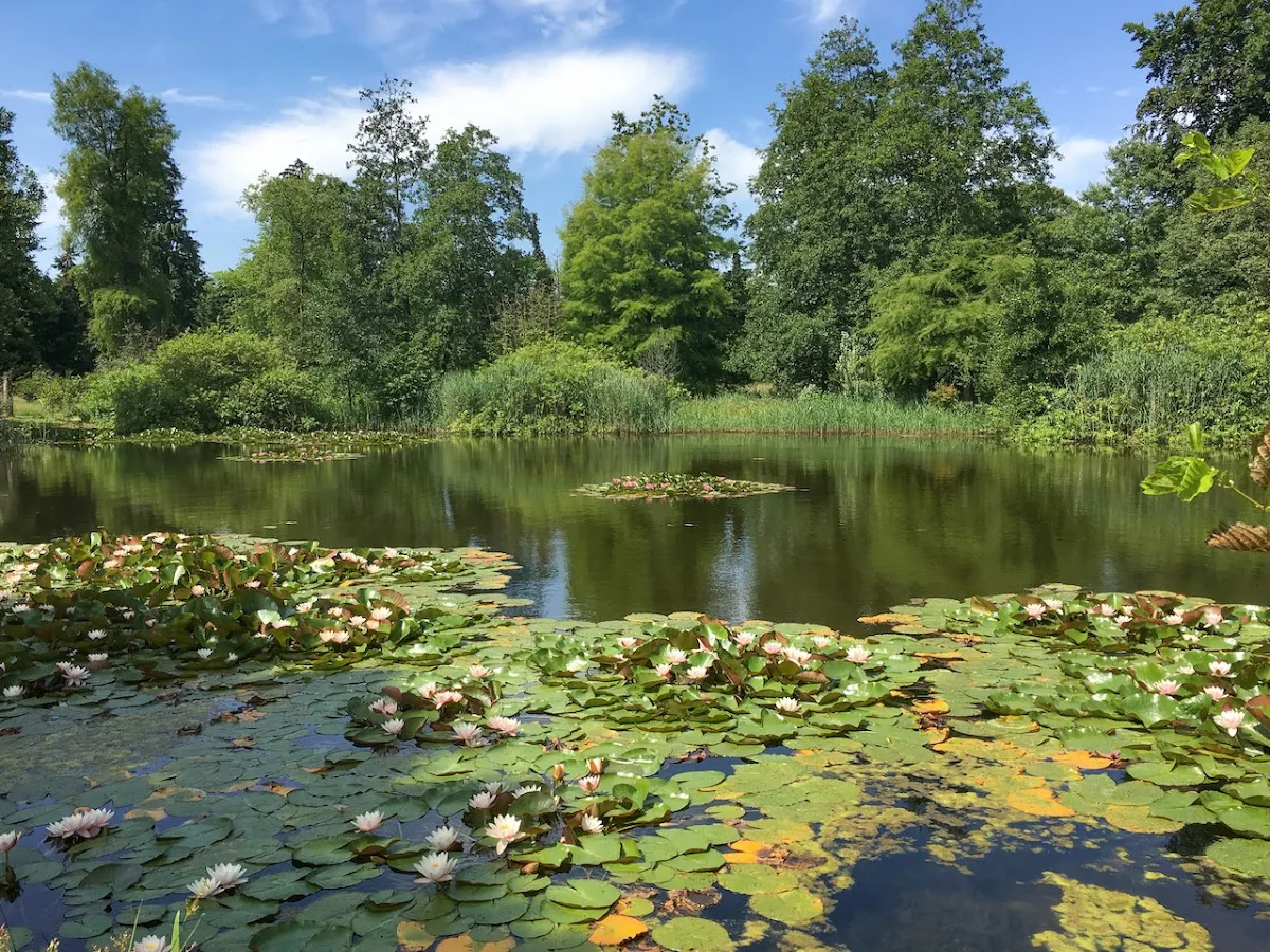 Nationaal Bomenmuseum Gimborn | Stichting Von Gimborn Arboretum