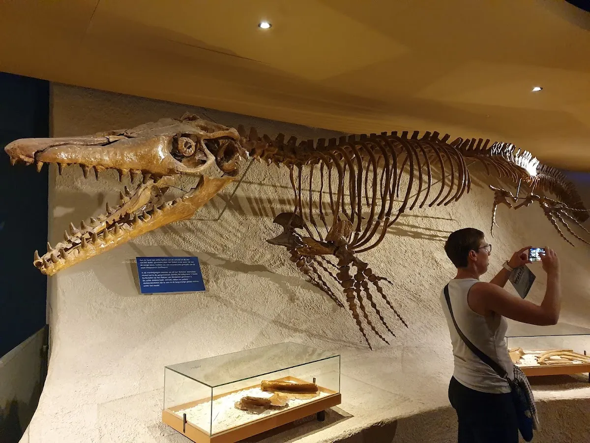 Natuurhistorisch Museum Maastricht