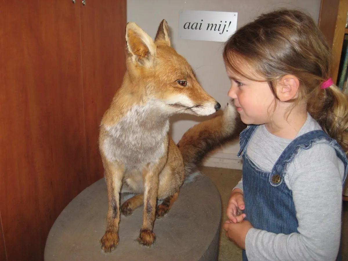 Pieter Vermeulen Museum