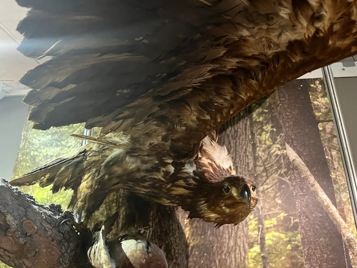 Schoonewelle Museum voor Natuur en Ambacht