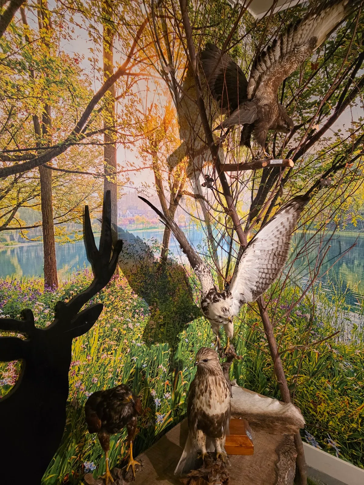 Schoonewelle Museum voor Natuur en Ambacht