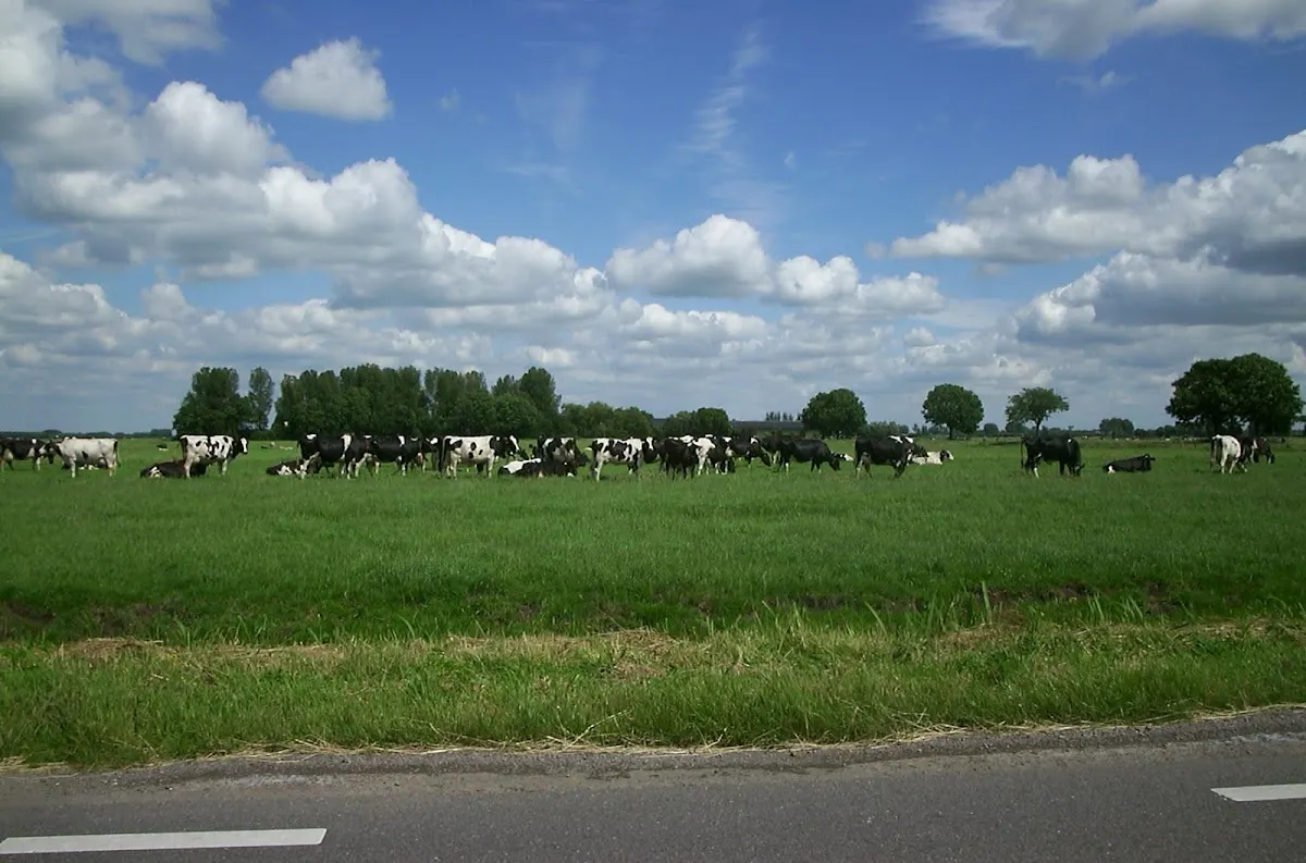 Museum De Koperen Knop