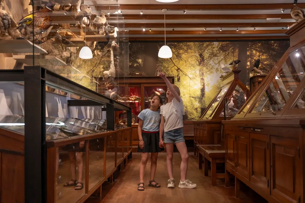 Museum Natura Docet