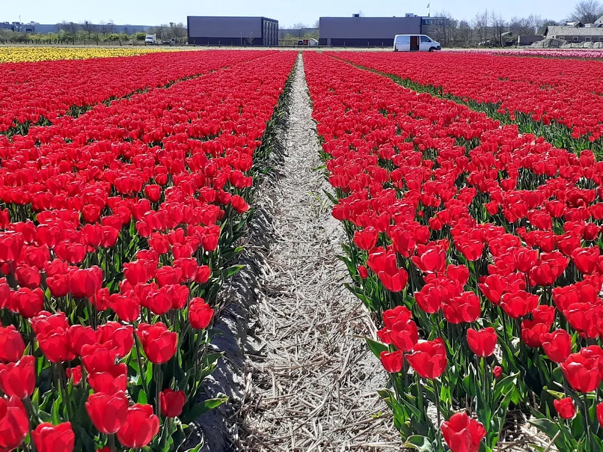 Streekmuseum Veldzicht
