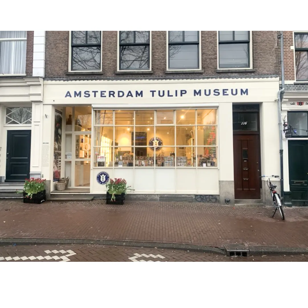 Amsterdam Tulip Museum