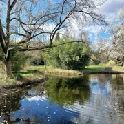 Nationaal Bomenmuseum Gimborn | Stichting Von Gimborn Arboretum