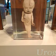 Museum voor Anatomie en Pathologie