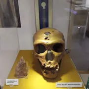 Stichting Gelders Geologisch Museum