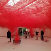 Het Noordbrabants Museum