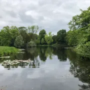 Kasteel Duivenvoorde