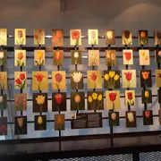 Nationaal Museum De Zwarte Tulp