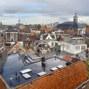 Museummolen De Walvisch