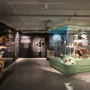 Kunstwerk! Liemers Museum