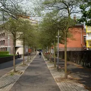 GRID Grafisch Museum Groningen