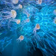 Natuurmuseum Fryslân