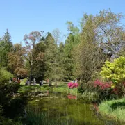 Nationaal Bomenmuseum Gimborn | Stichting Von Gimborn Arboretum