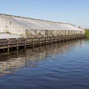 Stichting Historische Tuin Aalsmeer‎