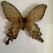 Miniatuur Museum Zwolle