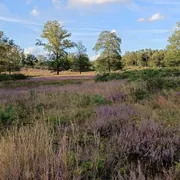 Bezoekerscentrum Leudal & Leudalmuseum