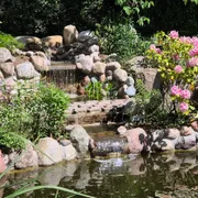 Geologisch Museum Hofland