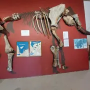 Visserijmuseum Breskens