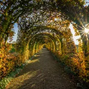 Rijksmuseum Muiderslot