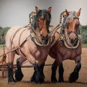 Museum Slager, museum voor realistische kunst