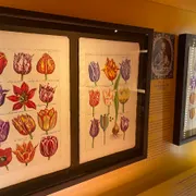 Amsterdam Tulip Museum