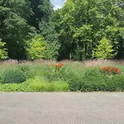 Landhuis Oud Amelisweerd