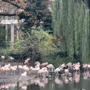 ARTIS - Groote Museum