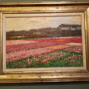 Nationaal Museum De Zwarte Tulp