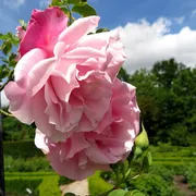 De Kruidhof | Hortus van Fryslân