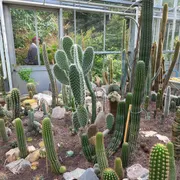 Trompenburg Tuinen & Arboretum