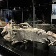 The Formula 1® Exhibition - Amsterdam