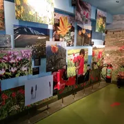 Amsterdam Tulip Museum