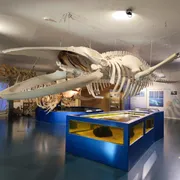 Natuurcentrum Ameland