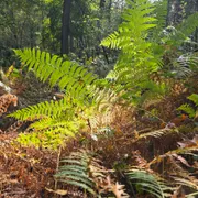Bezoekerscentrum Leudal & Leudalmuseum