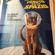 KattenKabinet