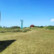 De Nollen - R.W. van de Wint