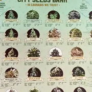Cannabis Museum Amsterdam