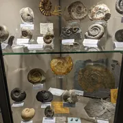 Geologisch Museum Hofland