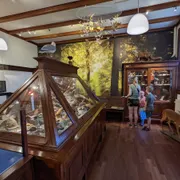 Museum Natura Docet