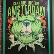 Cannabis Museum Amsterdam